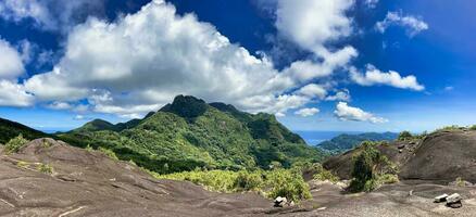 copolia trilha panorâmico tiro do manhã branco, manhã seichelense, troise frere e perto Cidade victoria área, mahe seychelles foto