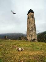 velho batalha torre erzi dentro a jeyrah desfiladeiro, impressionante rochoso parede do a Cáucaso montanhas é em a fundo. república do inguchétia. foto