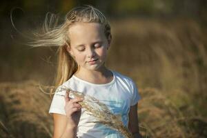 lindo pequeno menina dentro uma Prado com uma ramalhete do ervas.criança dentro uma lindo verão campo. foto