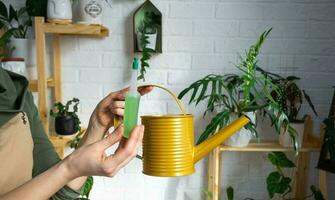 gotejamento fertilizante para em vaso plantas, estimulador do desenvolvimento, crescimento aceleração, casa plantar Cuidado. uma garrafa do líquido é inserido dentro a mão do uma mulher. casa colheita Produção foto