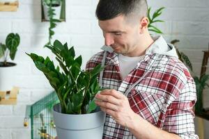 gotejamento fertilizante para em vaso plantas zamiokulkas, estimulador do desenvolvimento, crescimento aceleração, casa plantar Cuidado. uma garrafa do líquido é inserido dentro a mão do cara. casa colheita Produção foto