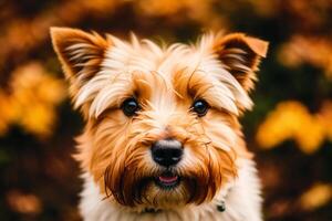 retrato do uma fofa yorkshire terrier cachorro dentro a parque. generativo ai foto