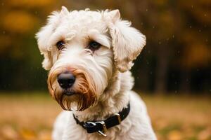 retrato do uma lindo cachorro em pé dentro a parque. generativo ai foto