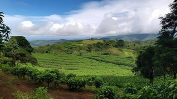 café plantação. panorama com café árvores generativo ai foto