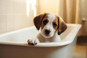 lavando animal. fofa cachorro dentro banho com xampu espuma. generativo ai foto