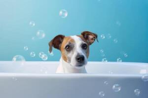 lavando animal. fofa cachorro dentro banho em azul fundo. generativo ai foto