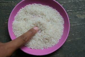 a foto do branco arroz é em a prato