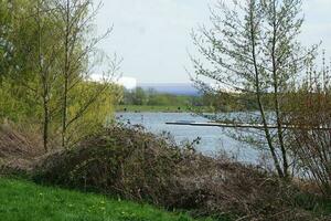 baixo ângulo Visão do vontade lago parque com local e turista público desfrutando a beleza do lago e parque de caminhando por aí com seus famílias. cenas estava capturado em 09 de abril de 2023 às Milton keynes Reino Unido foto