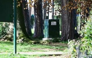 lindo Visão do árvores e galhos às local público parque do luton Cidade do Inglaterra foto
