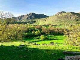 lindo natureza panorama e montanha. azul céu. Armênia, vayots dzor província foto