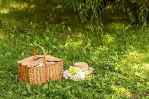 piquenique cesta em verde gramado dentro jardim, espaço para texto. bandeira Projeto foto