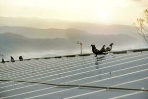 fotovoltaico ou solar célula telhado que teve pó, água da chuva mancha, pássaro caindo em a superfície, borrado pôr do sol fundo, solar manutenção sistema para aumentar superior sistema desempenho conceito. foto