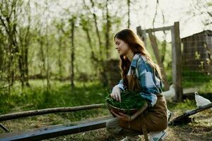 uma jovem mulher agricultor senta às uma pássaro alimentador e Verificações a composição do a grão para alimentação a galinhas dentro uma caneta dentro a campo foto