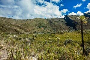 lindo panorama do colombiano andino montanhas mostrando paramo tipo vegetação dentro a departamento do cundinamarca foto