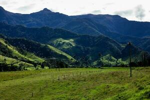 acampamento tendas, cera Palmeiras e a lindo montanhas às cocora vale localizado em a quindio região dentro Colômbia foto