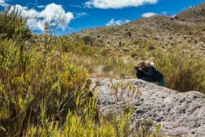 jovem mulher explorando a natureza do uma lindo paramo às a departamento do cundinamarca dentro Colômbia foto