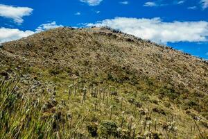 lindo panorama do colombiano andino montanhas mostrando paramo tipo vegetação dentro a departamento do cundinamarca foto