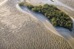 aéreo Visão do natural padrões dentro a areia às baixo maré perto mangue árvore floresta.generativa ai foto