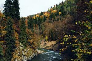 outono floresta montanhas natureza rio viagem panorama foto