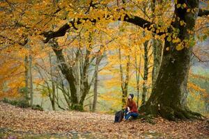 mulher caminhante debaixo uma árvore dentro outono floresta panorama amarelo folhas outono foto