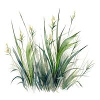 aguarela verde grama. ilustração ai generativo foto