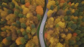 zangão Visão outono floresta estrada. ilustração ai generativo foto