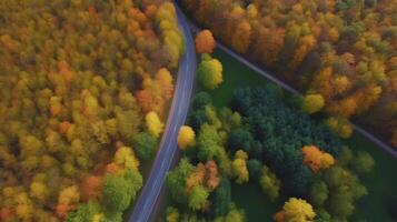 zangão Visão outono floresta estrada. ilustração ai generativo foto