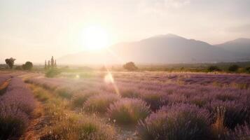 lavanda campo fundo. ilustração ai generativo foto