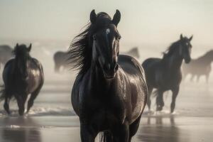 cavalos em a de praia dentro a névoa às nascer do sol. generativo ai foto