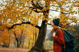 mulher dentro uma suéter anda em dentro a parque dentro outono natureza panorama fresco ar modelo mochila foto