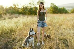 mulher e dela rouco cachorro alegremente caminhando e corrida dentro a Relva dentro a campo sorrir com dentes outono pôr do sol andar com uma bicho de estimação, viajando com uma amigo cachorro felicidade foto