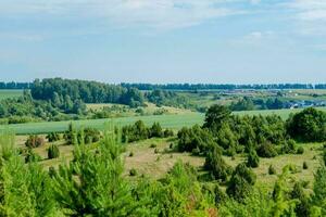 rural panorama do Tartaristão. verde colinas com árvores e prados, topo Visão foto