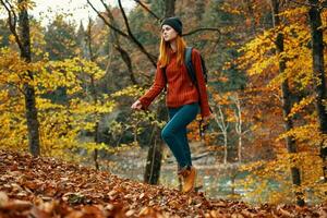 feliz mulher caminhante com uma mochila em dela costas dentro jeans e uma vermelho suéter dentro a outono floresta parque panorama foto