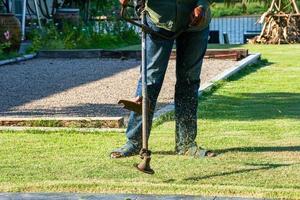 feche as pernas do jardineiro cortando a grama em um jardim ao ar livre com ferramentas de corte em um dia ensolarado foto