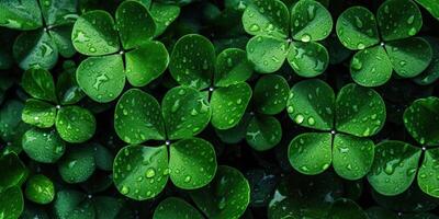ai gerado. foto realista ilustração do topo Visão verde fresco trevo folhas. irlandês símbolo. ai generativo. gráfico arte