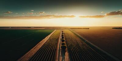 ai gerado. ai generativo. foto realista ilustração do selvagem campo panorama texas dentro América. agricultor aventura selvagem estilo de vida vibe. gráfico arte