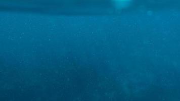 superfície azul subaquática com plâncton no mar tropical foto