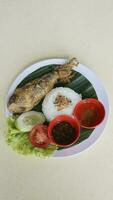 uma prato do arroz e peixe-gato com Pimenta molho retratado a partir de acima foto