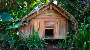 artístico frango casa a atraente e belas decorado coop foto