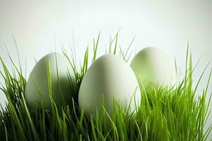 Maravilhoso forma do ovos dentro verde Relva em branco foto