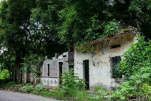 permanece do a destruído casas do a armero Cidade coberto de árvores e natureza depois de 37 anos do a tragédia causou de a nevado del ruiz vulcão dentro 1985 foto