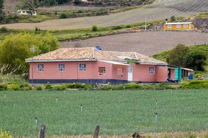 verde cebola campo às a boyaca departamento dentro Colômbia foto