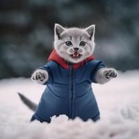 uma gato vestindo uma azul e vermelho casaco generativo ai gerado foto