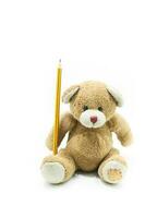 Castanho Urso de pelúcia Urso brinquedo sentado segurando amarelo lápis em branco plano de fundo, para Educação fundo foto