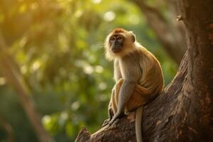 macaco em topo do uma árvore dentro a verão temporada, generativo ai foto