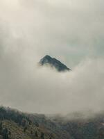 suave foco. Trevas montanha fundo. dramático névoa entre gigante rochoso montanhas. espectral atmosférico Visão para grande penhasco. baixo nuvens e lindo montanhas rochosas. minimalista cenário misterioso lugar. foto