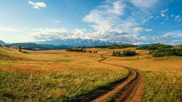 trilha através a montanhas. caminhada acima a montanha trilha. uma brilhante atmosférico minimalista alpino panorama com uma rochoso caminho entre a gramíneas dentro a Planalto. a caminho acima a lado da montanha. foto