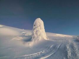 inverno dramático minimalista panorama. uma monte de neve, uma árvore coberto com neve, uma coberto de neve estrada baixa uma Colina com uma chique abeto dentro a neve. foto