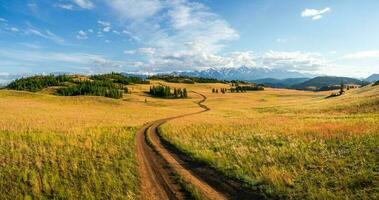 trilha através a montanhas. caminhada acima a montanha trilha. uma brilhante atmosférico minimalista alpino panorama com uma rochoso caminho entre a gramíneas dentro a Planalto. a caminho acima a lado da montanha. foto