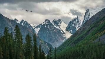 dramático chuvoso alpino panorama com verde floresta e neve afiado pináculo dentro baixo nuvens. aguçado pedras dentro nublado clima. atmosférico impressionante Visão para pontudo montanha dentro baixo nuvens. foto